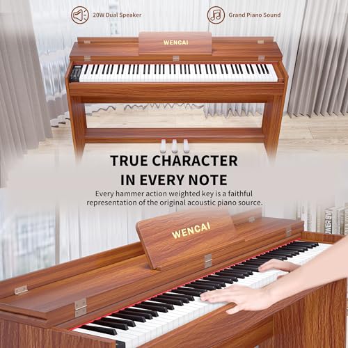 88 Key Fully Weighted Digital Piano Keyboard, 88 Keys Hammer Action Electric Pianos, Wooden Classic Upright Electronic Piano for Beginner, Professional, Midi Compatible, Triple Pedal (Black)