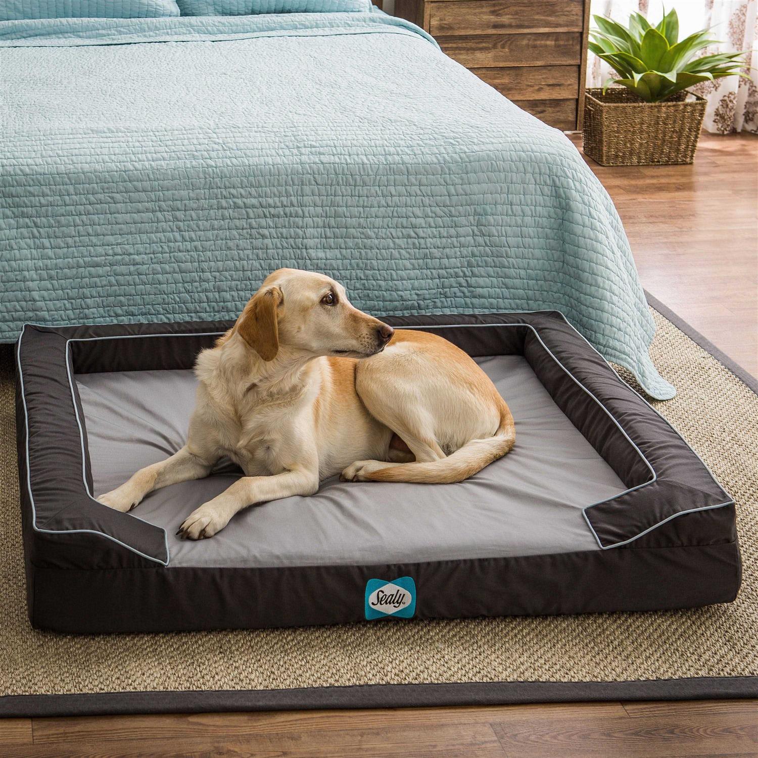 Sealy Lux Orthopedic Memory Foam Dog Bed - Pet Supplies online store