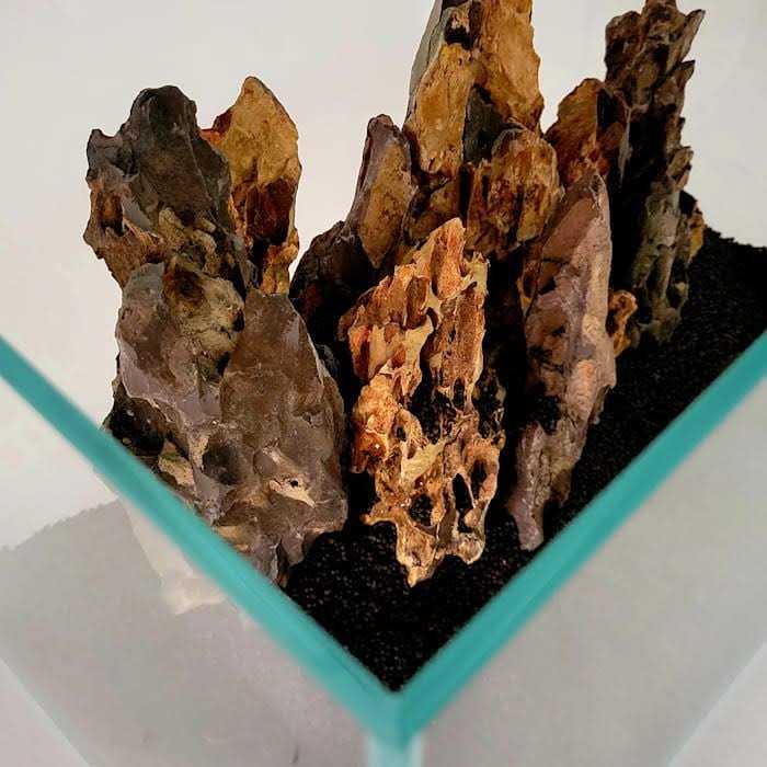 Lifegard Aquatics Crystal Aquarium - Pet Supplies online store