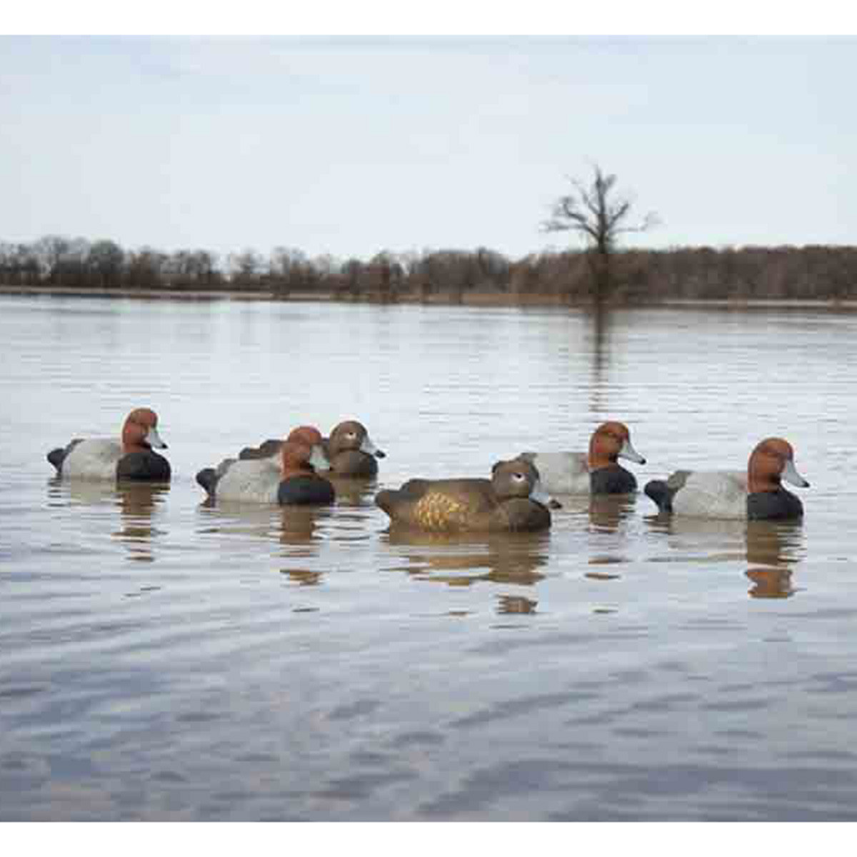 Higdon Standard Redhead Foam Filled Duck Decoys, 6 Pack
