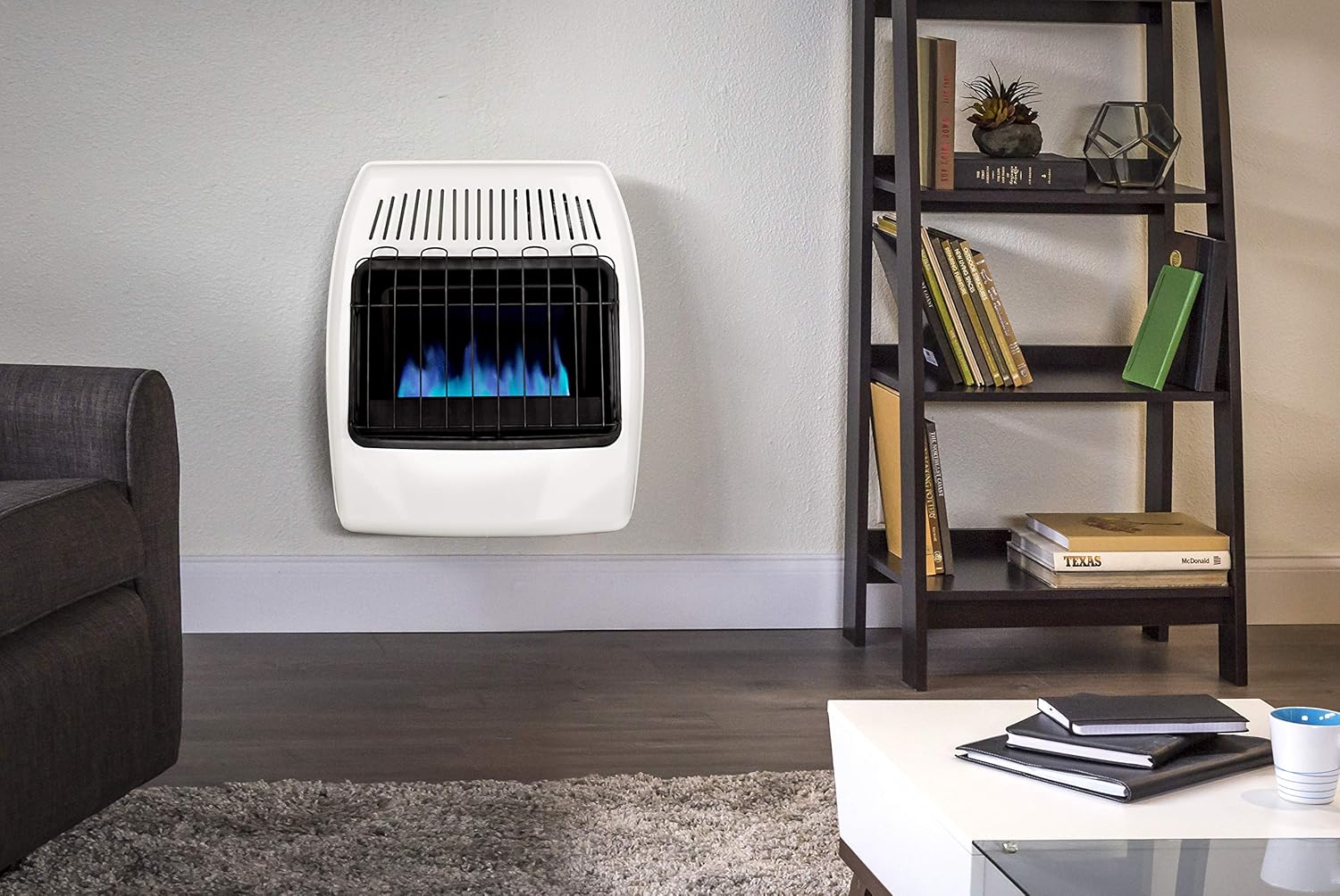 Dyna-Glo 20,000 BTU Natural Gas Blue Flame Vent Free Wall Heater, White
