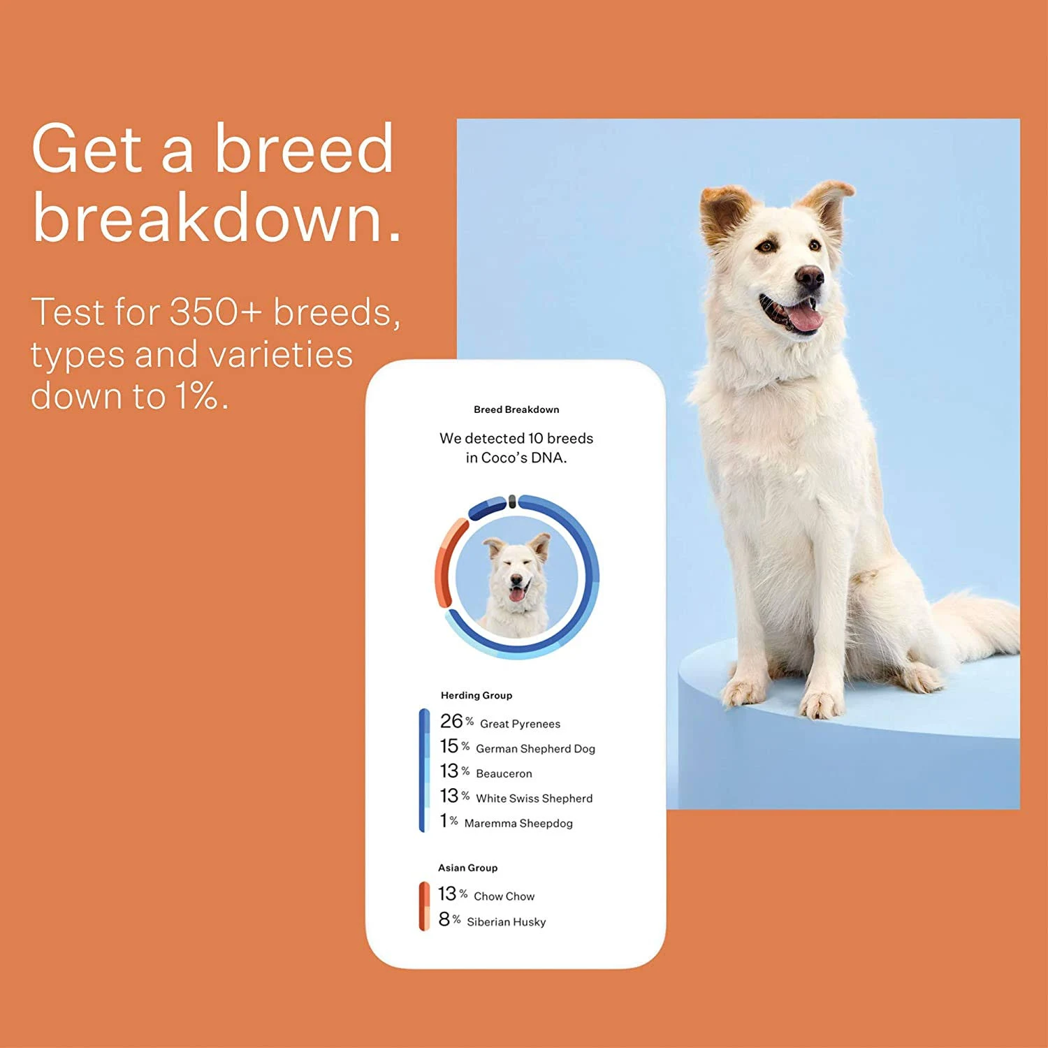 Wisdom Panel 3.0 Dog Breed Identification DNA Test Kit