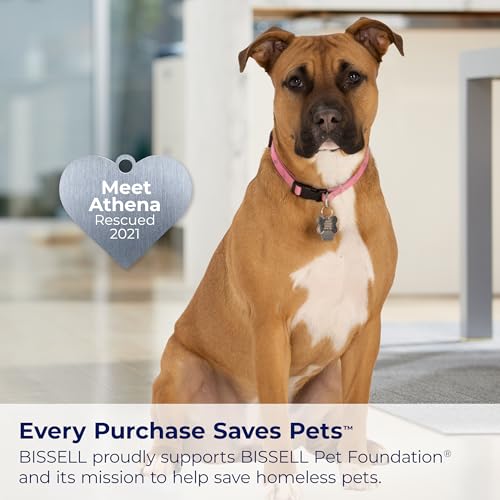 Bissell TurboClean PowerBrush Pet Carpet Cleaner Bundles