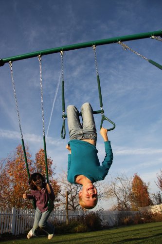 Lifetime Heavy Duty A-Frame Metal Swing Set