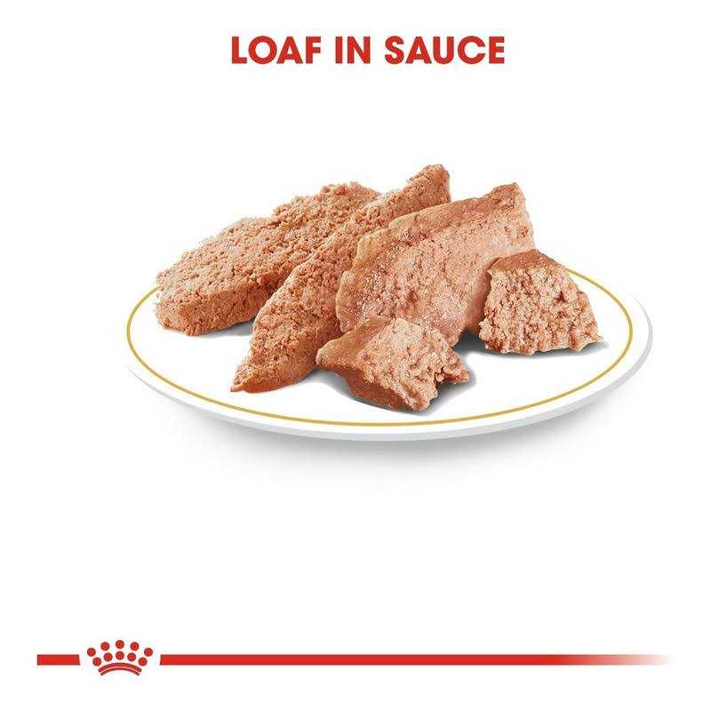Royal Canin Veterinary Diet Hepatic Canned Dog Food - Pet Supplies online store