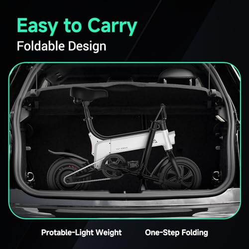 TST Folding Electric Bike, Electric Bicycle 450W Peak Motor, Ebike 16MPH,Up to 15 Miles, 12" Pneumatic Tires for Better Driving Experience, Adjustable Seat and Dual Fenders