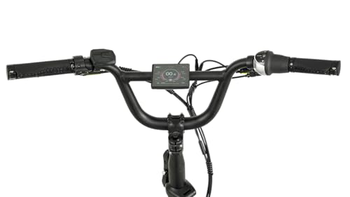 SDU E-Urban, 500W Young Electric Commute Bike, 500W Lightweight Folding Ebike for Adults, 20'' x 3.0'' Tire with Internal Gear Hub