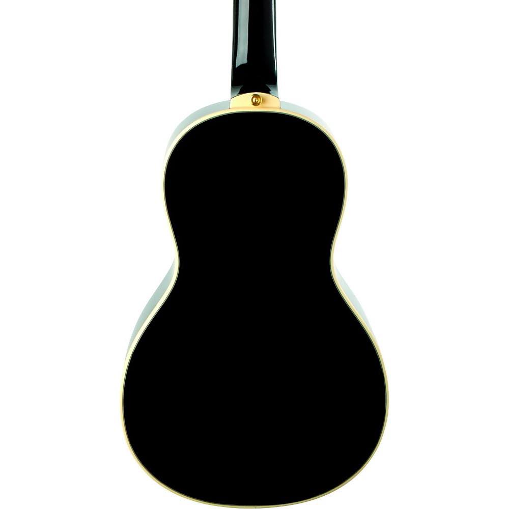 Eko Guitars 06217030 NXT Series Parlor Acoustic Guitar, Natural