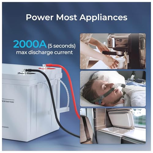 Renogy Deep Cycle AGM 12 Volt 100Ah Battery, 3% Self-Discharge Rate, 1100A Max Discharge Current, Safe Charge Appliances for RV, Camping, Cabin, Marine and Off-Grid System, Maintenance-Free