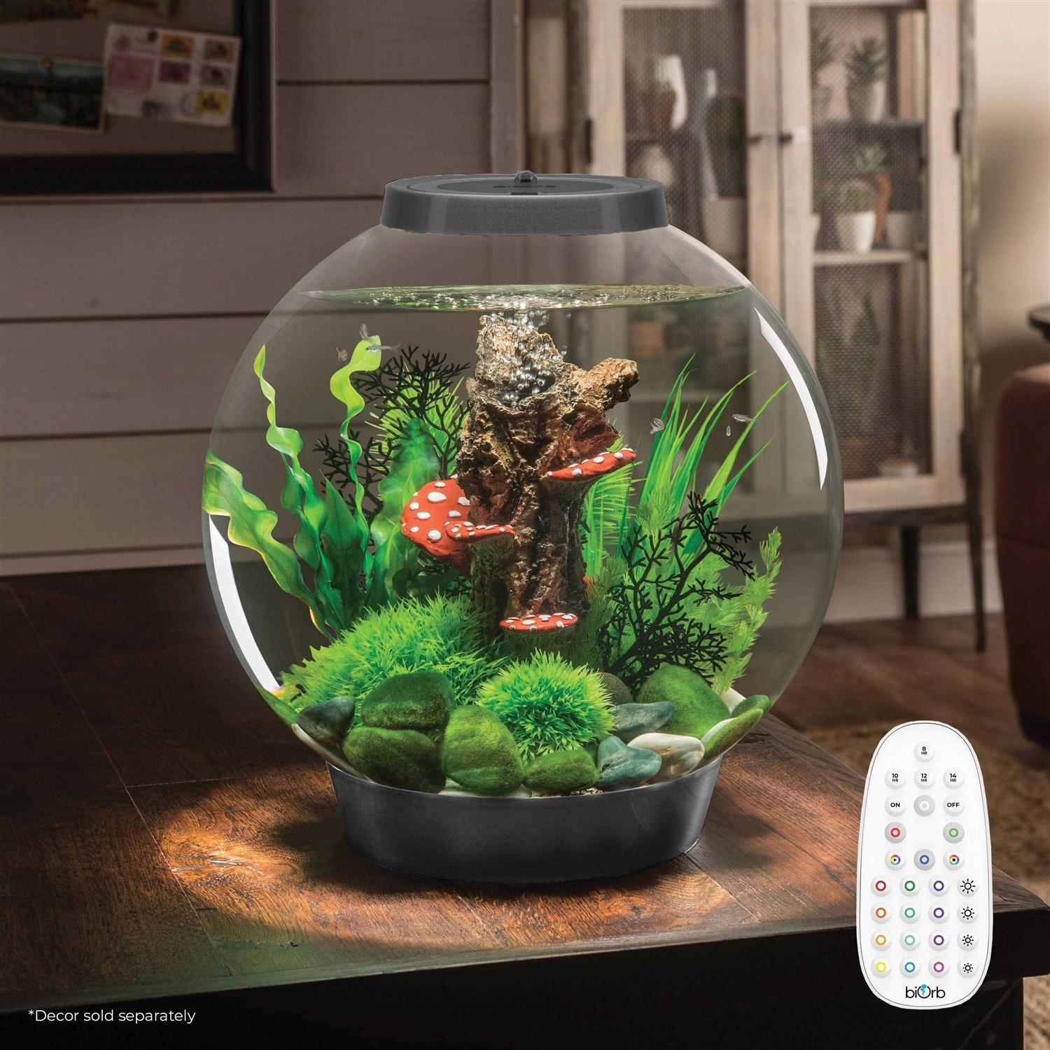 biOrb Classic 60 Aquarium with LED - Pet Supplies online store