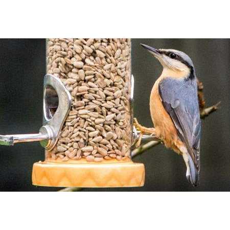 CountryMax Sunflower Coarse Hearts No Waste No Mess Bird Seed - Pet Supplies online store