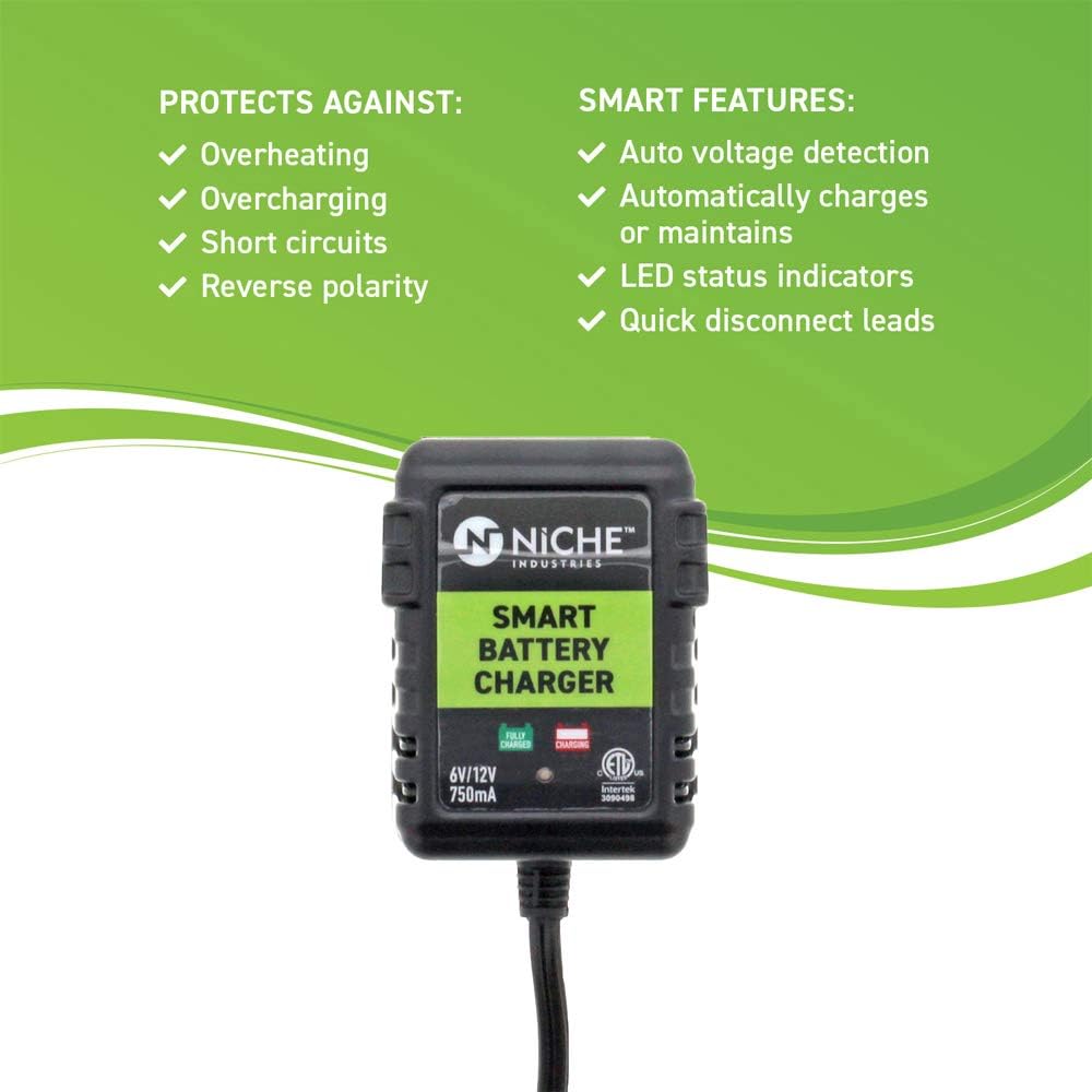 NICHE Battery for YTX14AH-BS AGM Sealed Maintenance Free 210CCA 12V Self Activated ATV UTV Motorcycle for Honda Yamaha