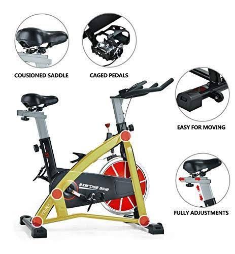Syrinx Indoor Cycling Bike-Belt Drive Exercise Bike,Stationary Cycle Bike for Home Cardio Gym Workout (Black)
