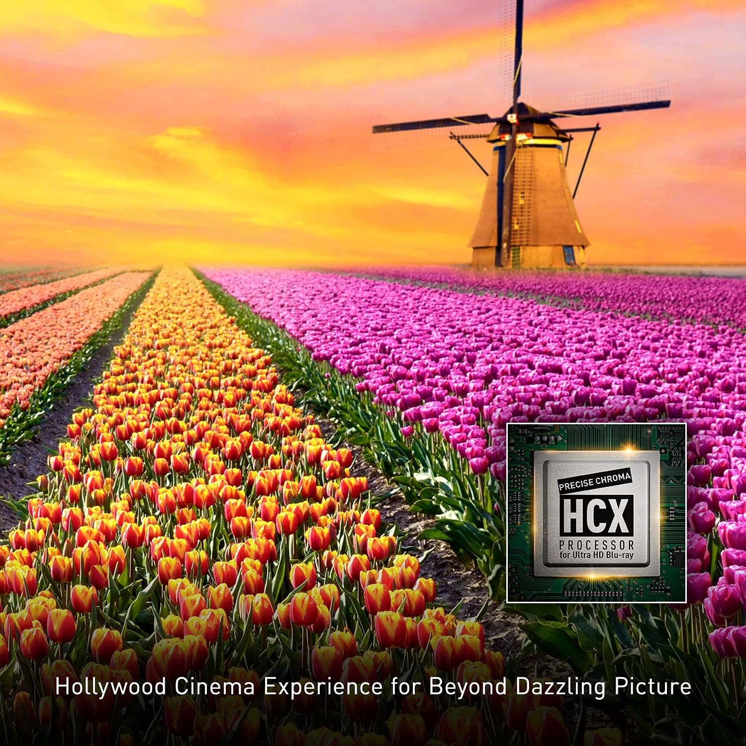Panasonic Streaming 4K Blu Ray Player, Ultra HD Premium Video Playback with Hi-Res Audio, Voice Assist - DP-UB420-K (Black)