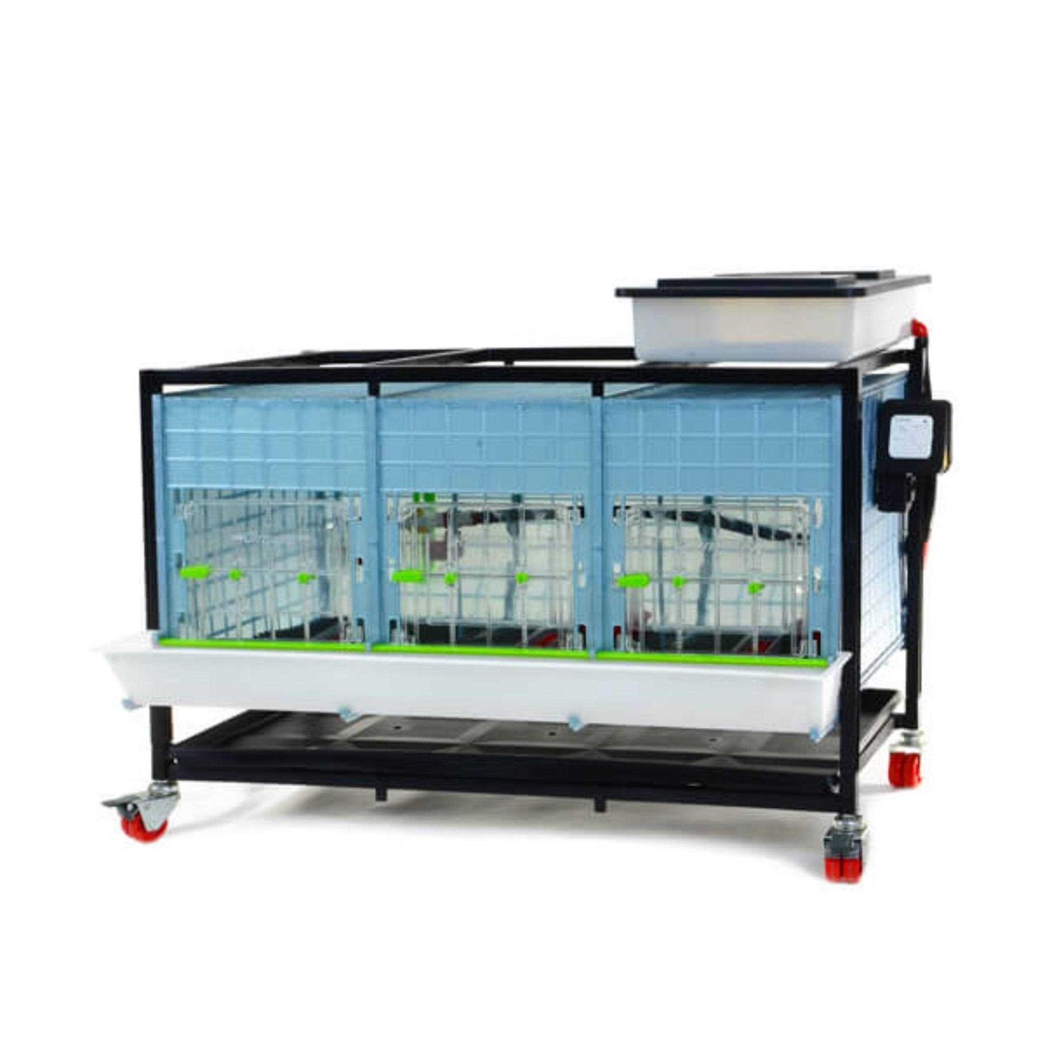 Hatching Time Chick Brooder 1 Layer H - Pet Supplies online store