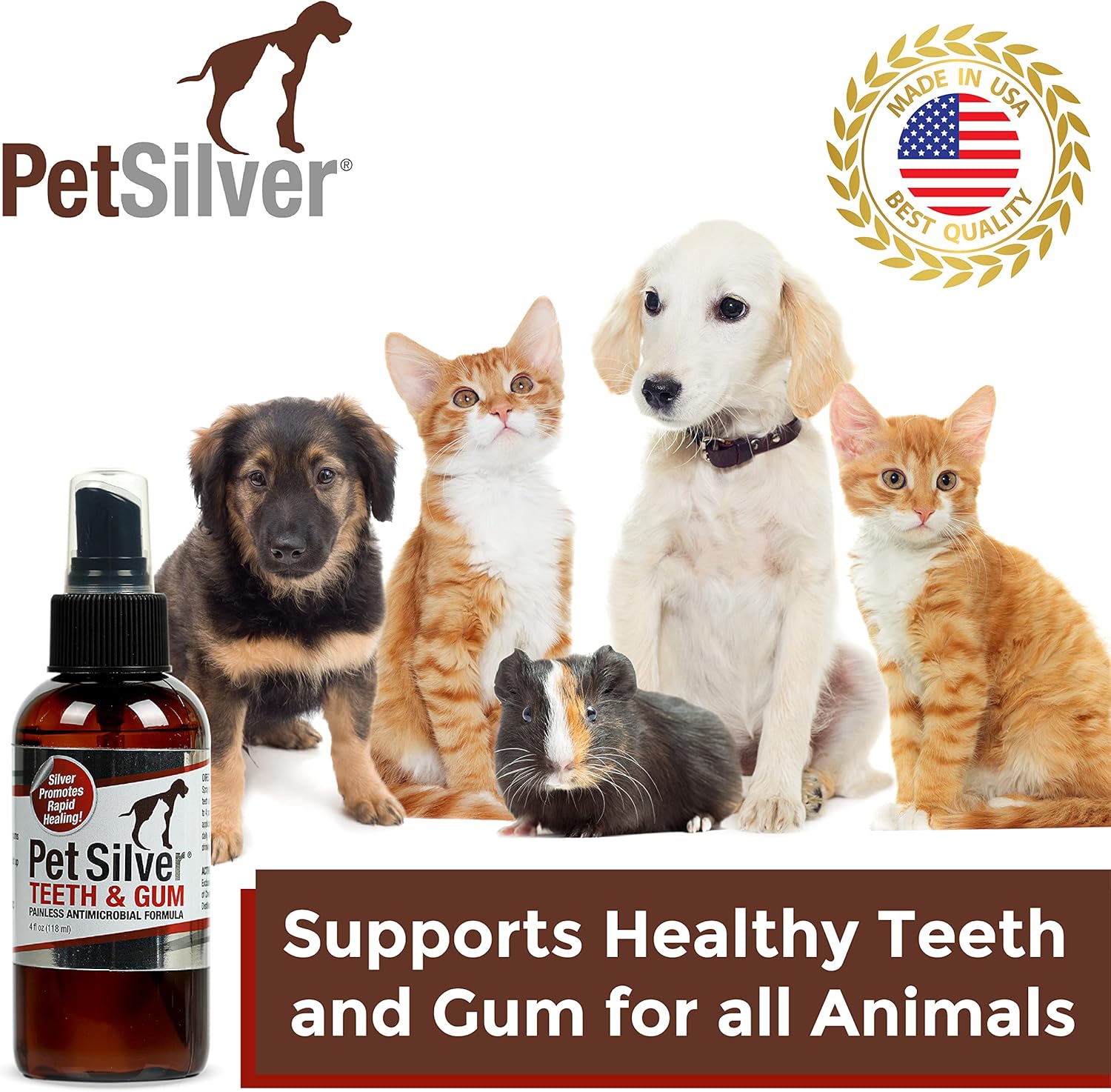 PetSilver Teeth & Gum Spray for Dogs and Cats with Chelated Silver, Made in USA, Vet Formulated, Natural Dental Care Solution, Control Tarter and Plaque, Clean Teeth Without Brushing, 2 Pack Pack of 2