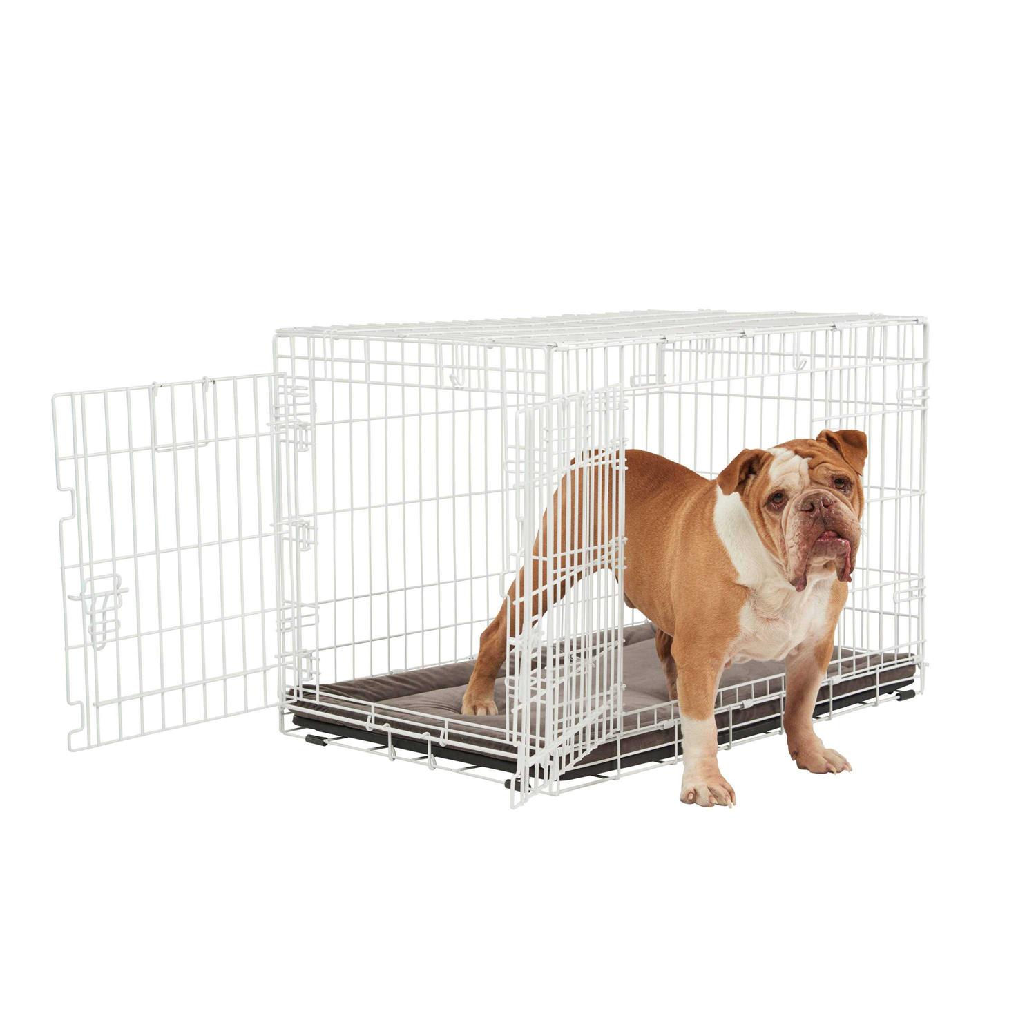EveryYay White 2-Door Dog Crate H - Pet Supplies online store