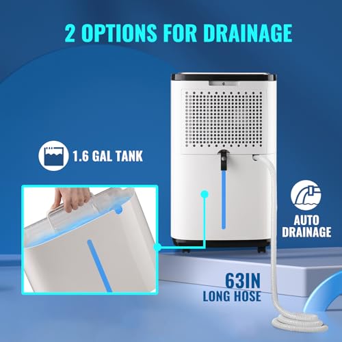 Dehumidifier for Home & Basement Small Dehumidifiers with Drain Hose for Medium to Large Room