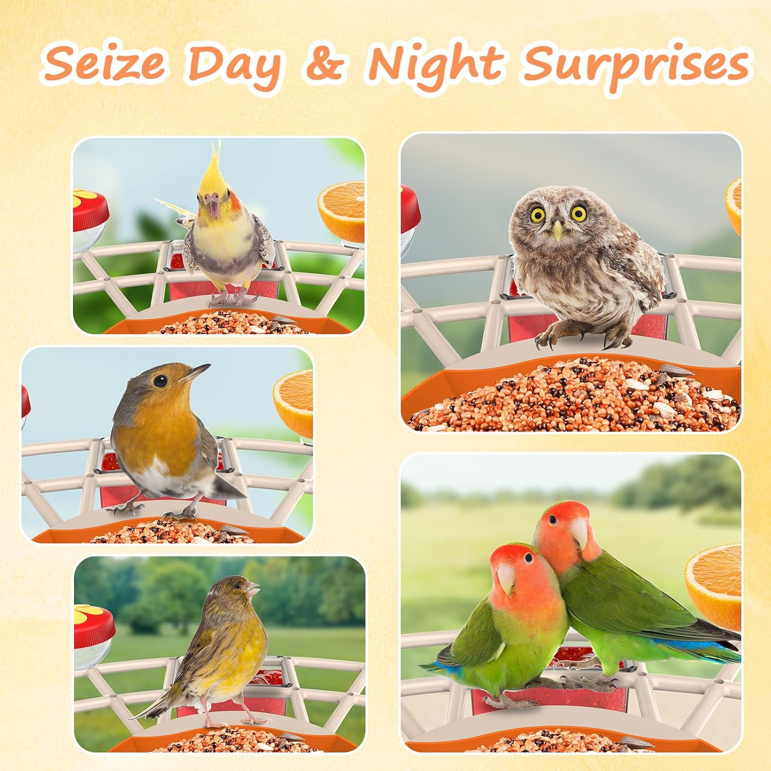 Bird Feeder with Camera, Smart Bird Feeder Camera with AI Identify, 4K Ultra HD Camera, Auto Capture Bird Videos & Instant Notification, Attract a Variety of Birds, Ideal Gift for Children’s Day