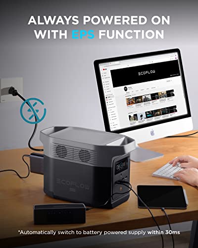 EF ECOFLOW Portable Power Station DELTA Mini Bundle