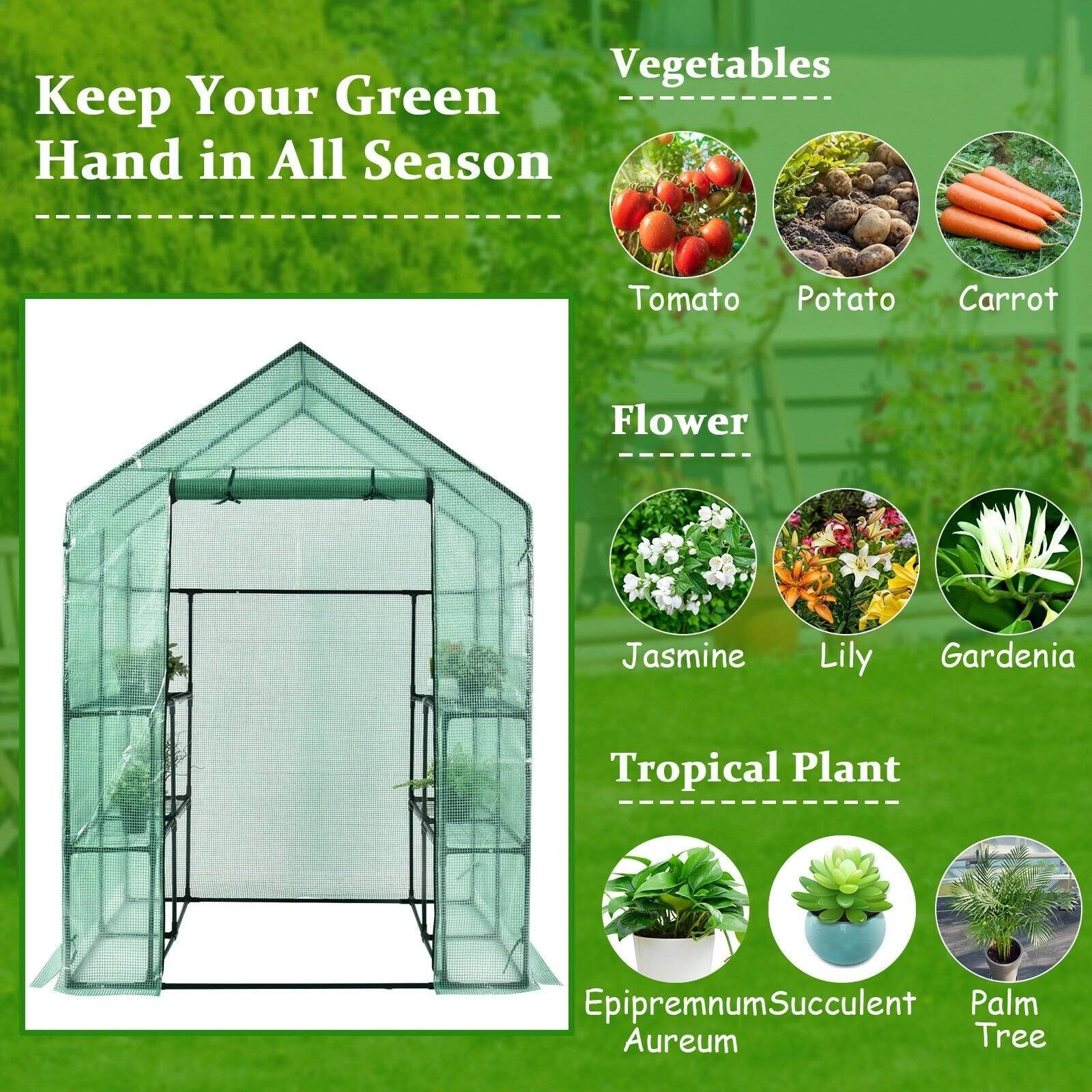 Walk-In Greenhouse 56x22 x 56x22 x 77x22 Gardening with Observation Windows