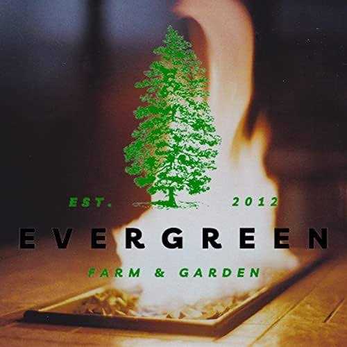 Evergreen Farm and Garden Coleman Propane Replacement Fuel Cylinders 16 oz Camping Fuel Bundled - Shop Hardware Tools Online Store