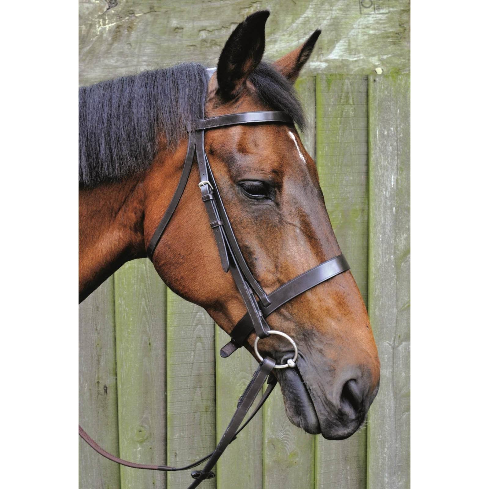 Mark Todd Hunter Bridle - Havana COB