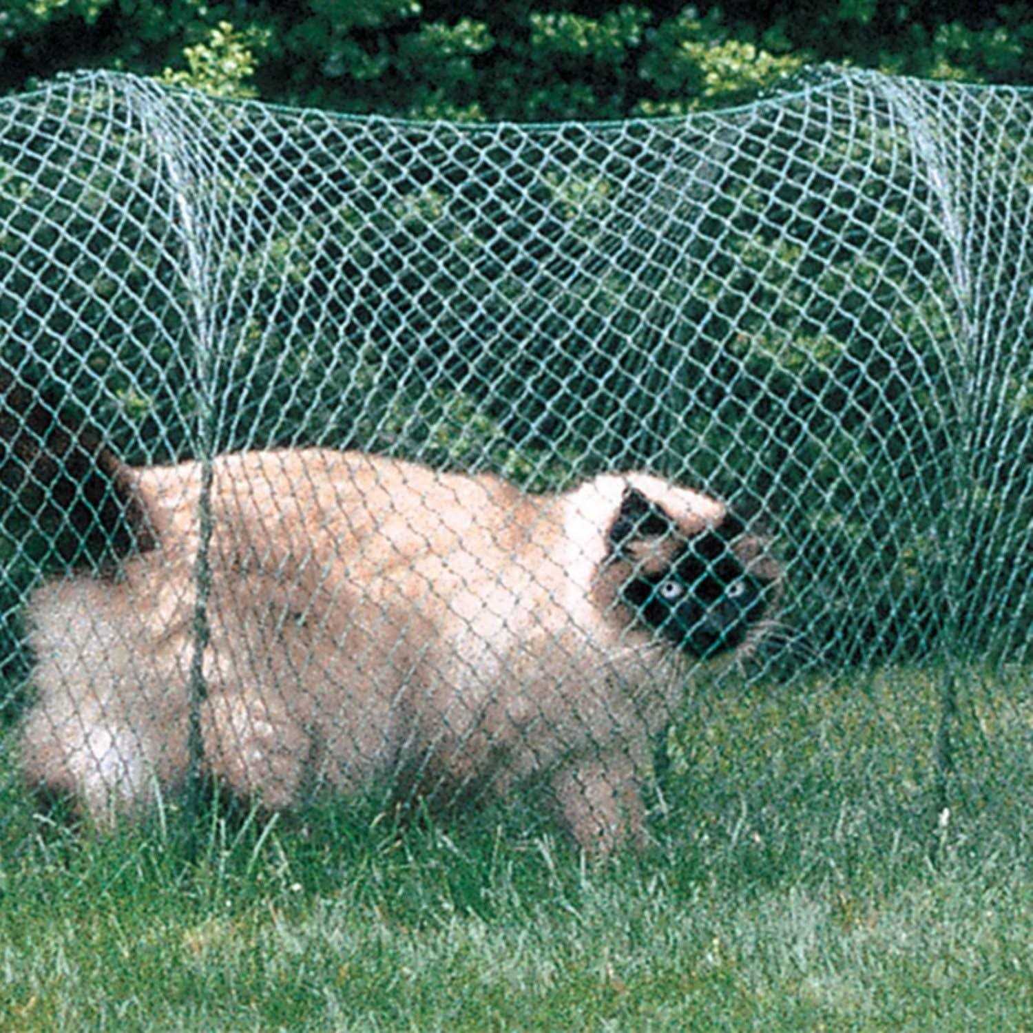 Kittywalk Lawn Version Outdoor Cat Enclosure - Pet Supplies online store