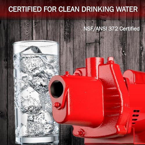 Red Lion RJS-50-PREM Premium Cast Iron Shallow Well Jet Pump