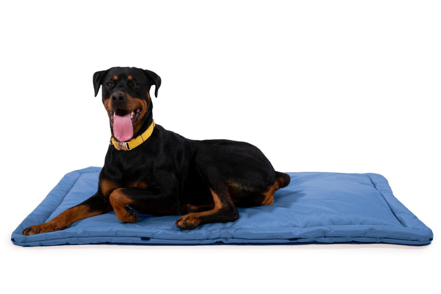Tough Crate Pad | K9 Ballistics | Chew Resistant and More, Blue / X-Large (47x22x29x22)
