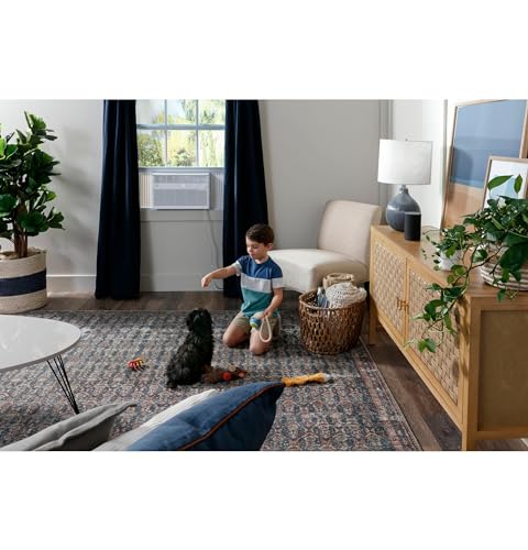 GE Window Air Conditioner