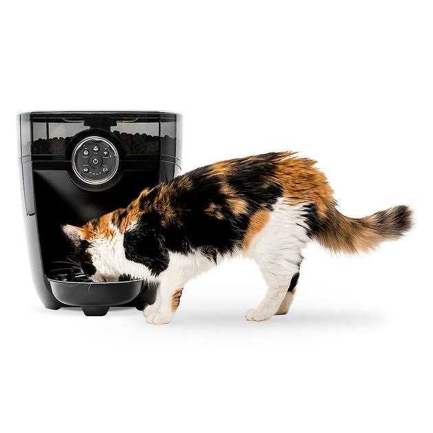 Whisker Feeder-Robot Wi-fi Cat &amp; Dog Auto-Feeder with Hopper &amp; Backup Battery Compatibility - Pet Supplies online store