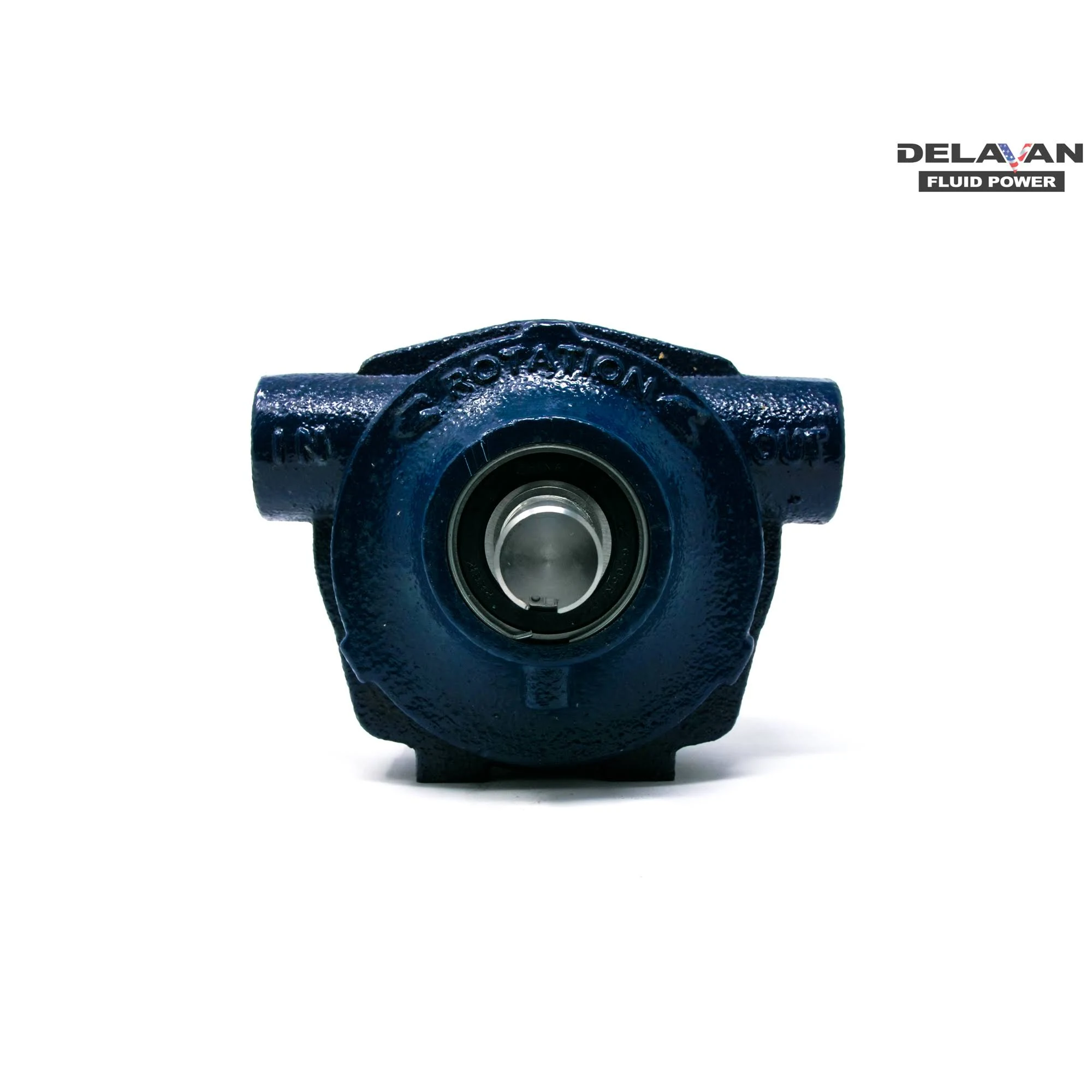 Delavan 8 Roller Pro Pump Cast Iron, 8900C