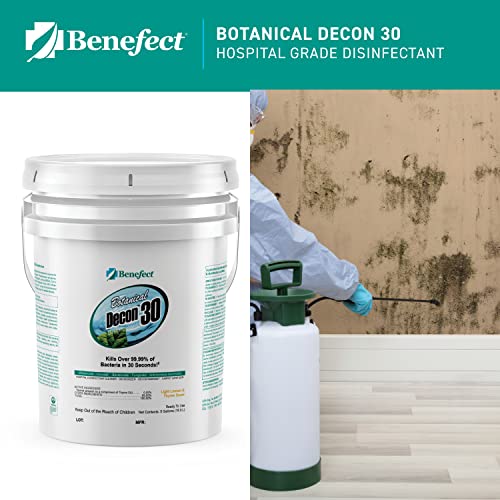 Benefect Decon 30 All-Natural Spray Disinfectant and Multipurpose Cleaner, Pump Spray Bottle, 4 ounce