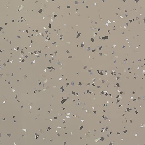 Rust-Oleum 293513 RockSolid Polycuramine Garage Floor Coating, 2.5 Car Kit, High Gloss Gray
