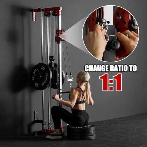 ER KANG Wall Mount Cable Station, Cable Crossover Machine with 18 Positions Dual Pulley System for Home Gym Fitness Equipment