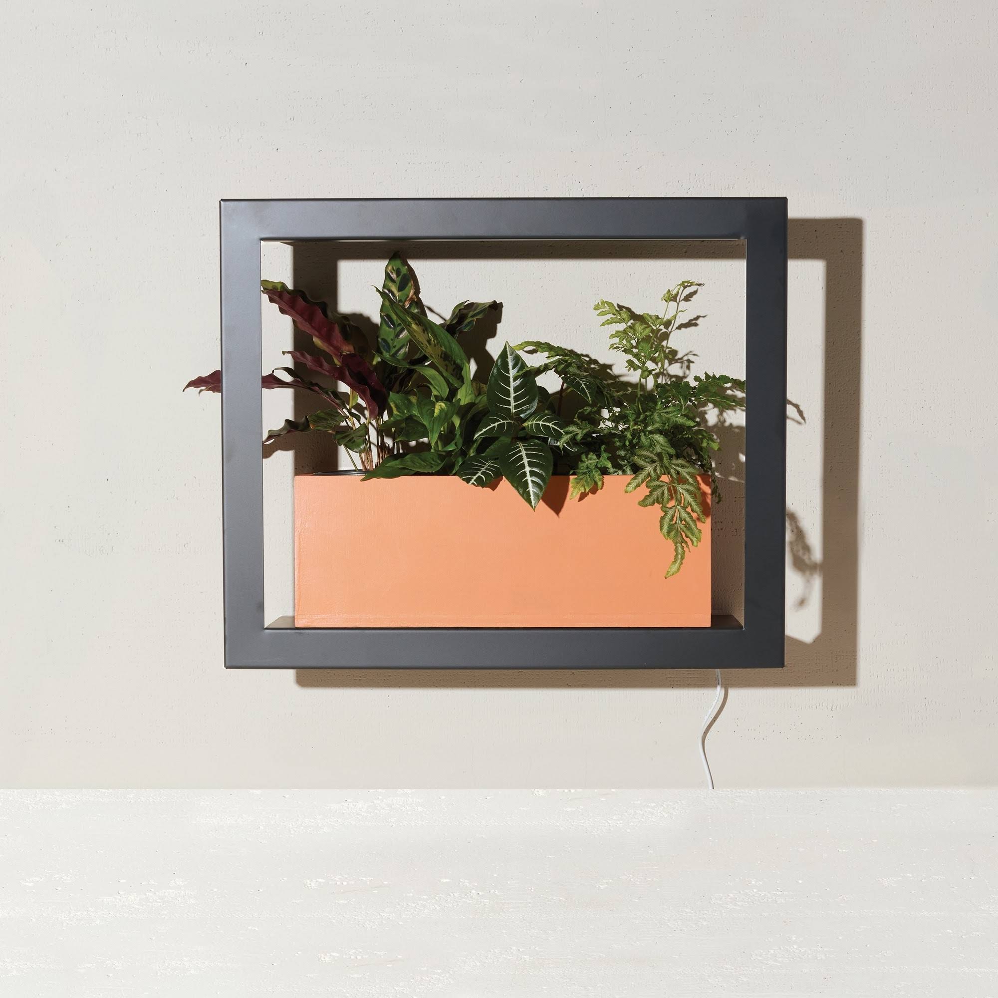 Modern Sprout Smart Growframe - Matte Black