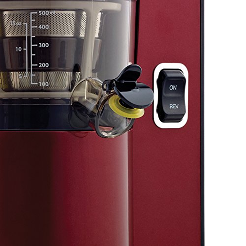 Omega Vertical Slow Masticating Juicer