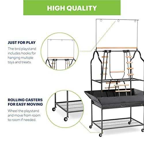 Prevue Pet Products Parrot Playstand - Pet Supplies online store