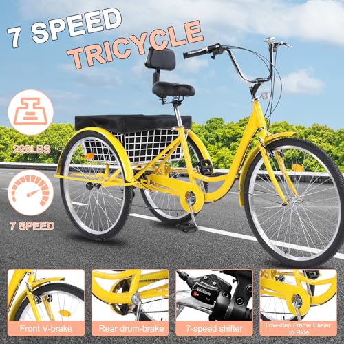 24/26 Inch Tricycle 7-Speed 3 Wheel Cruiser Adjustable Trike with Bell and Large Basket,for Recreation, Shopping, Picnics, Adult Man and Women (Black/Green/Red/Yellow)