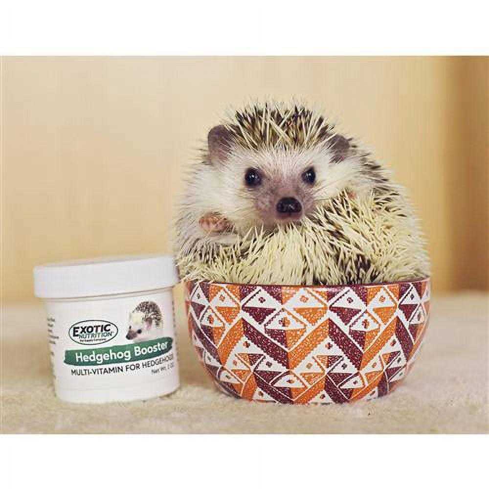 Exotic Nutrition Hedgehog Home &amp; Starter Package Includes Durable Cage - Pet Supplies online store