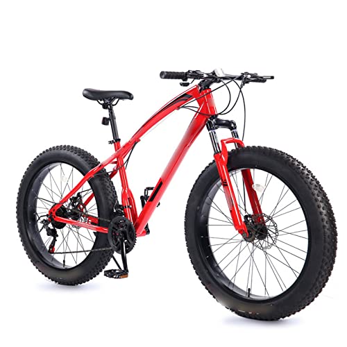 Mountain Bike Electric Bike Snow Fat Tire Electric Mountain Bike Electric Bike Adult Ebike