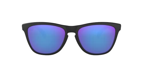 Oakley Mens Frogskin Sunglasses (OO9013) Plastic