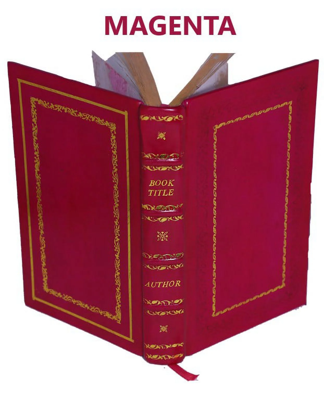 The Thirteen Books Of Euclid's Elements Volume 1 1908 [Premium Leather Bound]