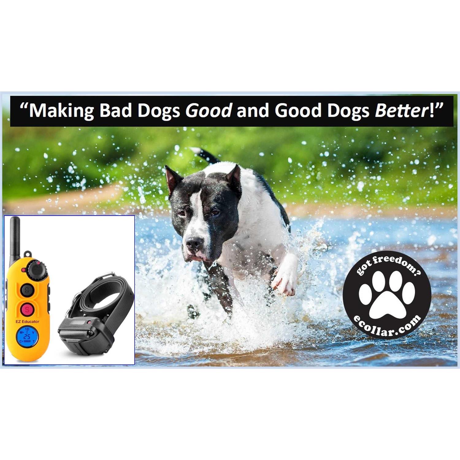Educator EZ-900 Easy 1/2 Mile E-Collar Remote Dog Training Collar with Vibration - Pet Supplies online store