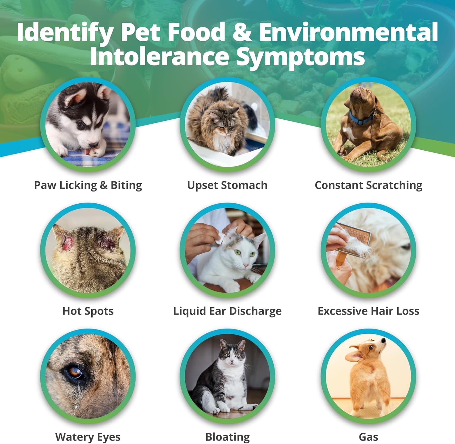 5Strands Pet Food and Environmental Intolerance Test, at Home Sensitivity Test for Dogs & Cats, Hair Sample Collection Kit, 395 Items Tested, Results in 5 Days, Works for All Ages and Breeds