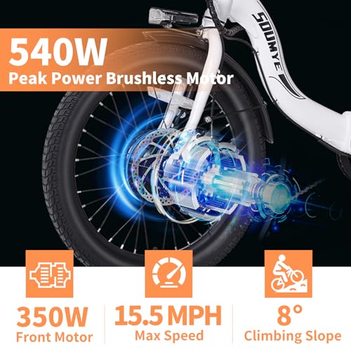 Electric Tricycle 20" 3 Wheels Electric Trike for Adults Women Men | Folding, Electric Bicycle Bikes, 350W, Step-Thru, Etrike, 374WH, Removable Battery, Large Basket