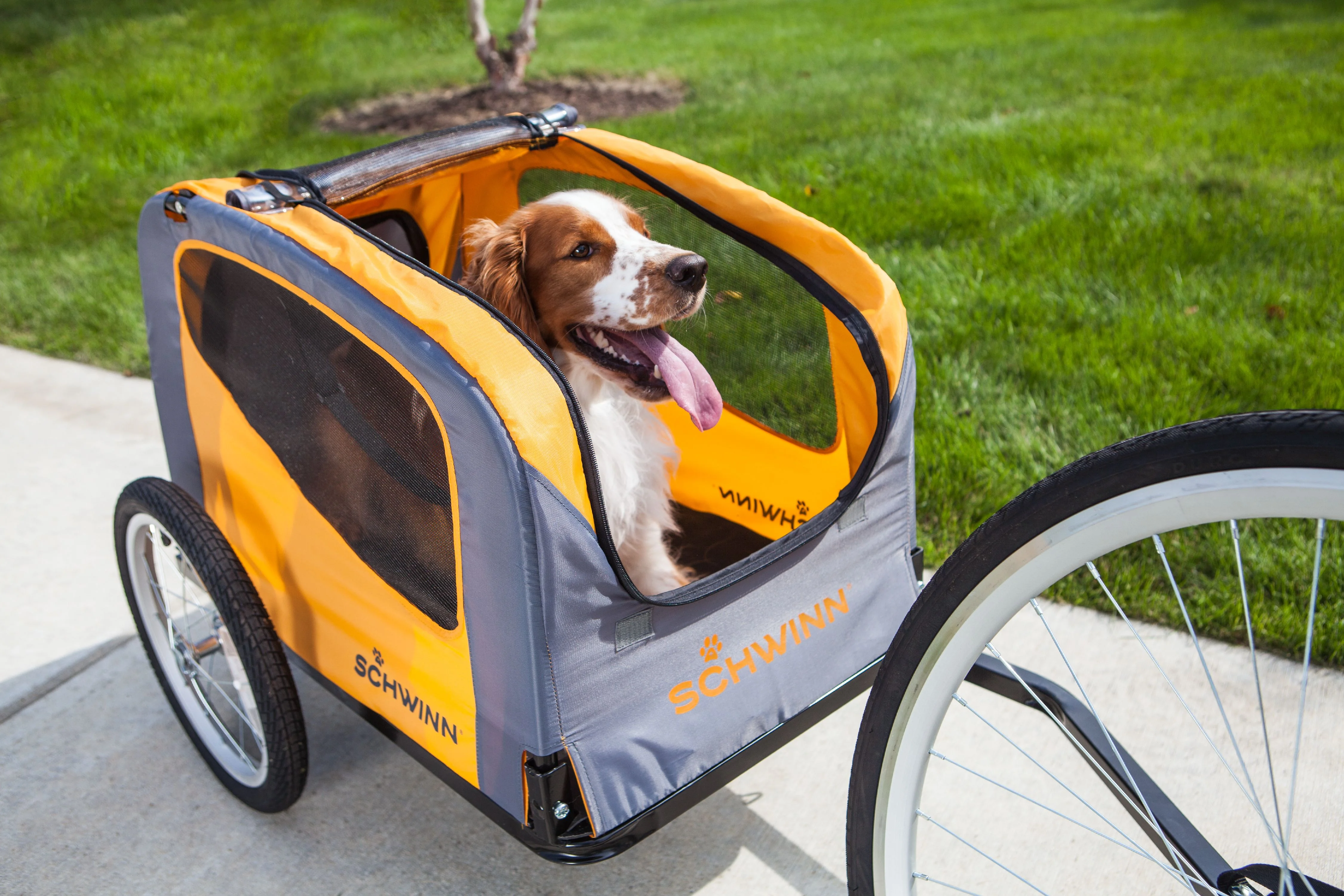 Schwinn Rascal Bike Pet Trailer, Orange