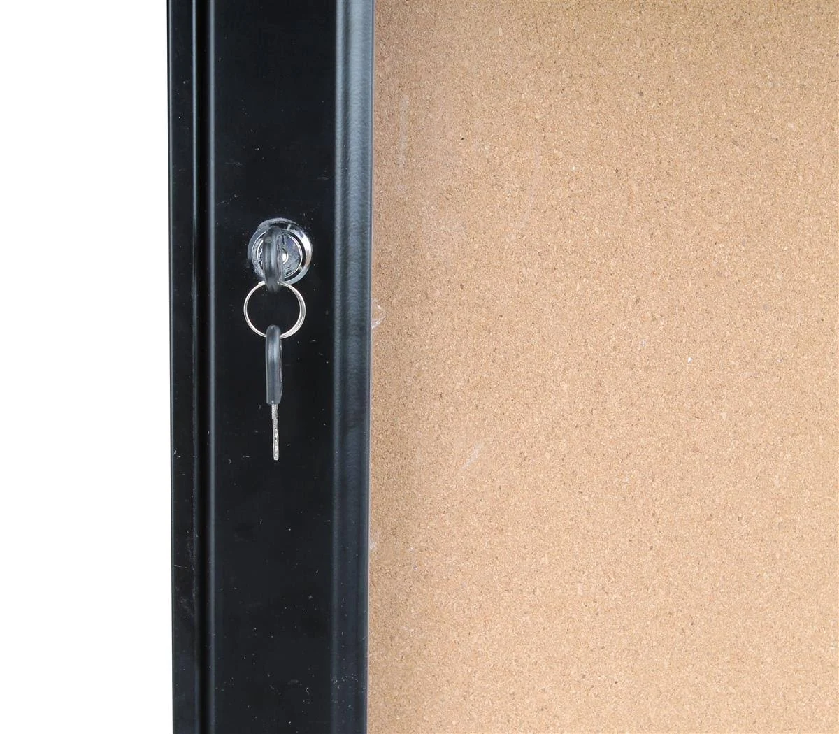 Outdoor Display Cases with Light and Swinging Door