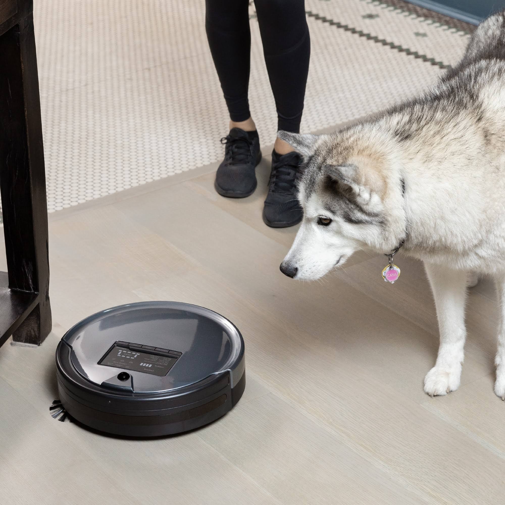 bObsweep Bob PetHair Plus Wet/Dry Robotic Vacuum - Charcoal